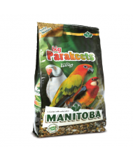 Manitoba Big Parakeets...