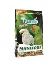 Manitoba life parrots...