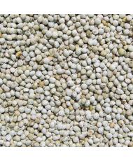 Perilla wit 1kg | Enkelvoudige zaden voor vogels