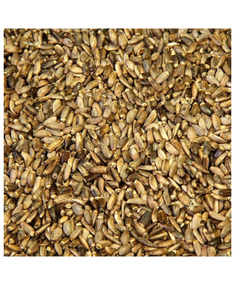 Mariadistel 1 kg | Enkelvoudige zaden voor vogels