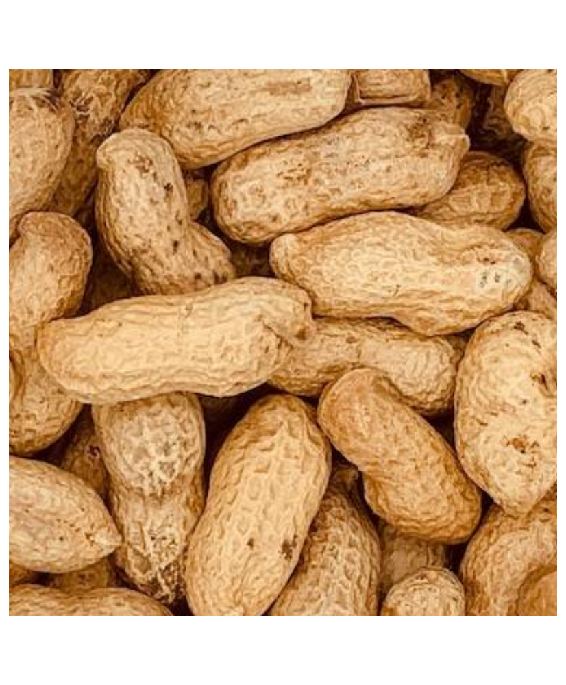 Pinda's in dop 500g