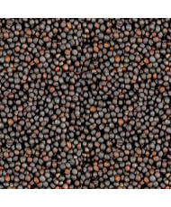 Raapzaad 1kg