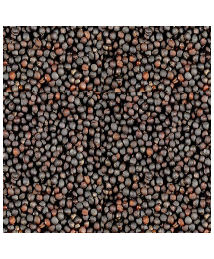 Raapzaad 1kg