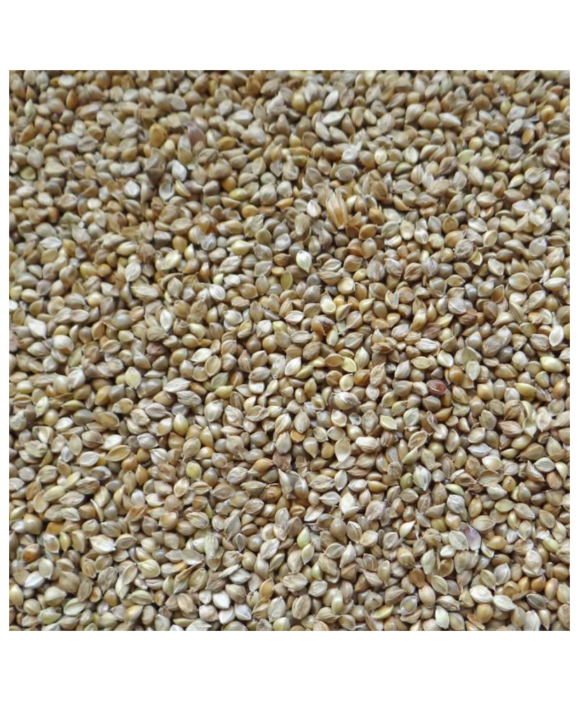 Japanse millet 1kg