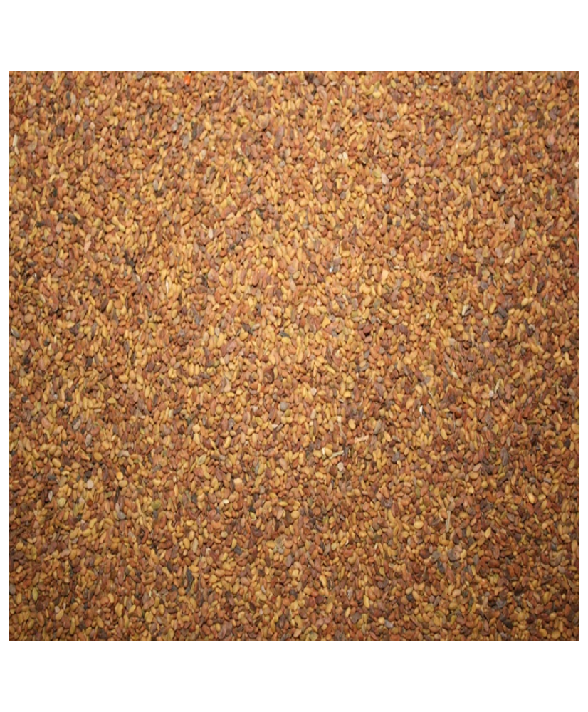 Klaverzaad (weegbree) 1kg