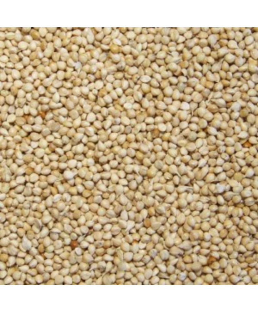 Millet wit 1kg