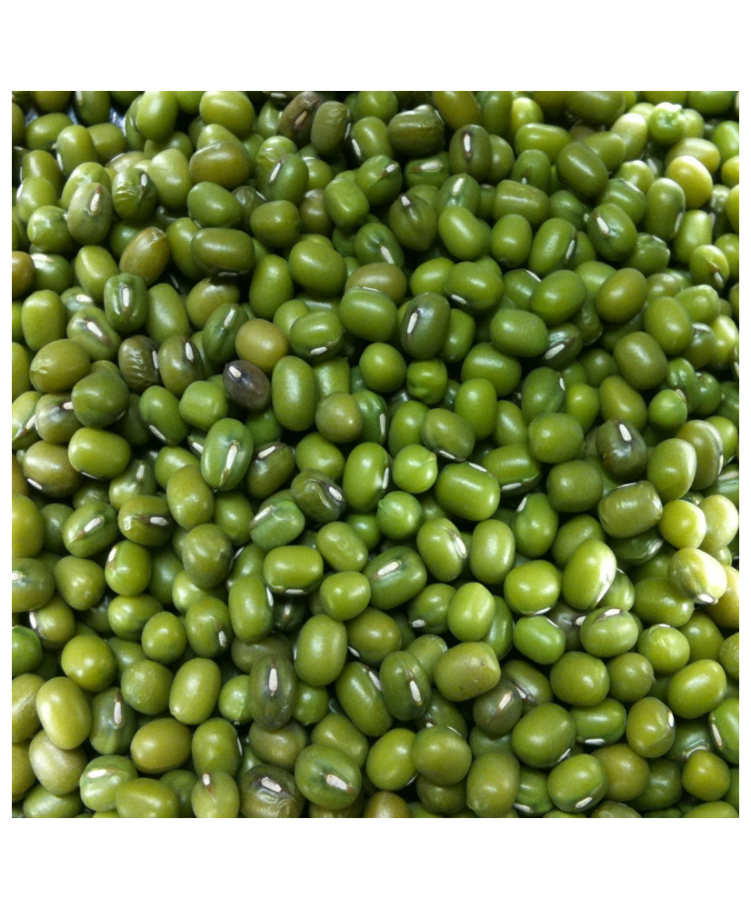 Katjang idjoe (mungo bonen) 1kg