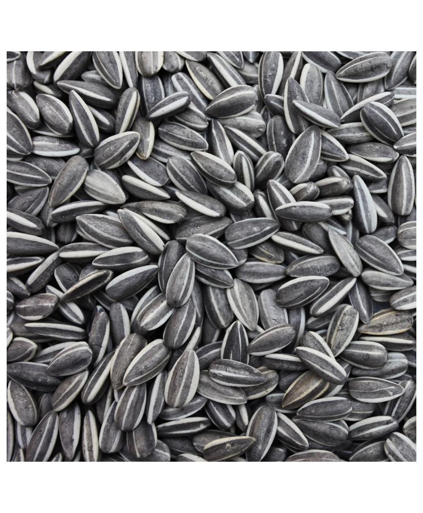 Zonnebloempitten gestreept grijs 1kg