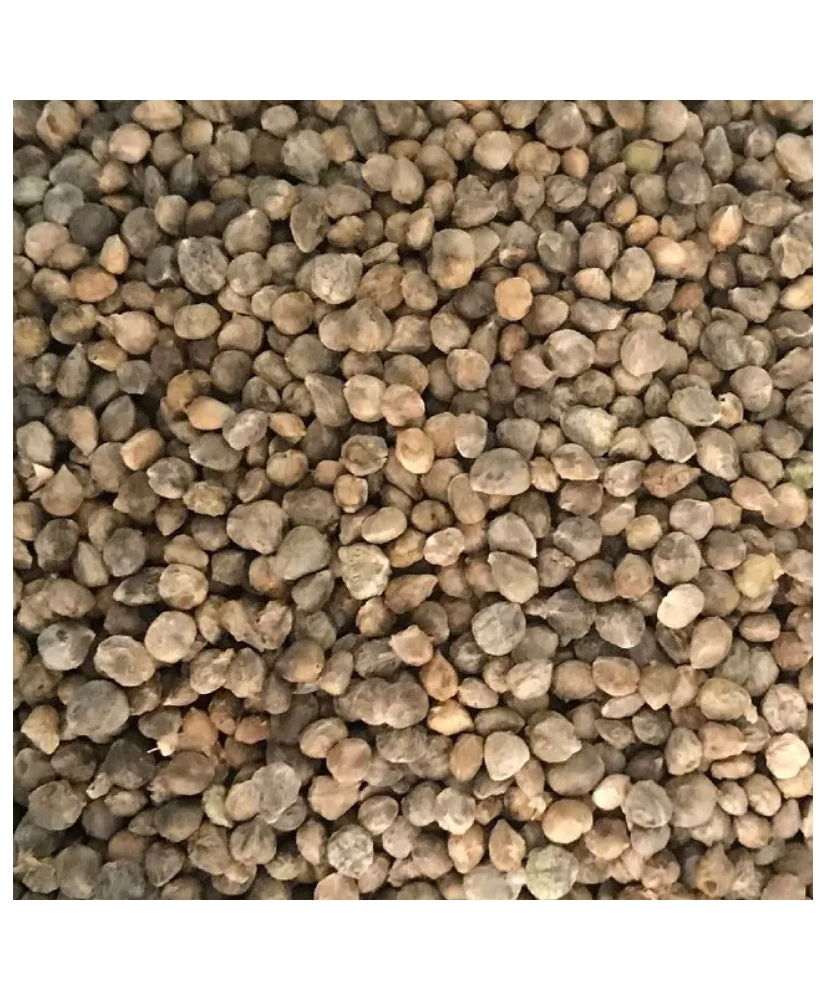 Spinaziezaad 1kg