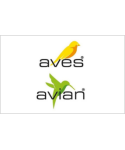 Aves - Avian